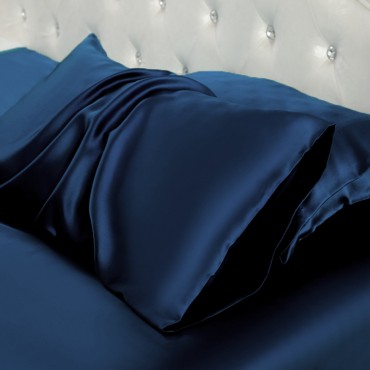 Mulberry Silk Pillow...